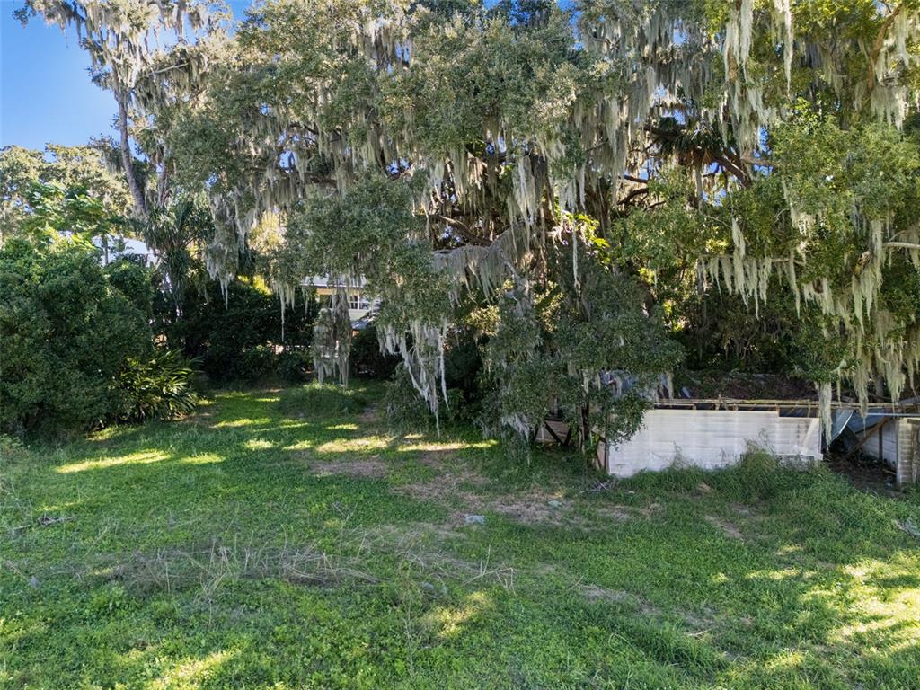 3828 Walker Road Apopka, FL 32703 - Photo 25 of 34 a view of a backyard