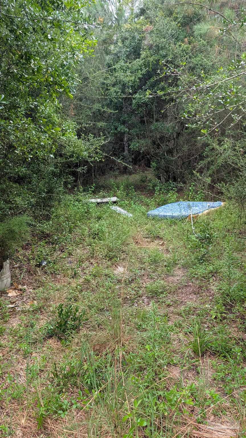 9791 Domino Road Milton, FL 32583 - Photo 8 of 12