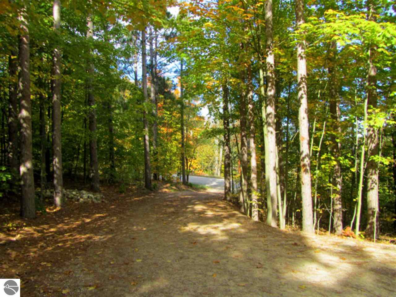 8990 East Erdt Road Suttons Bay, MI 49682 - Photo 22 of 28 1777373-21.JPG