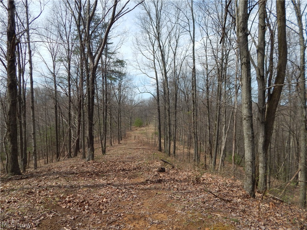 617 Taylor Summers Road Smithville, WV 26178 - Photo 13 of 34 Gallery Image 13
