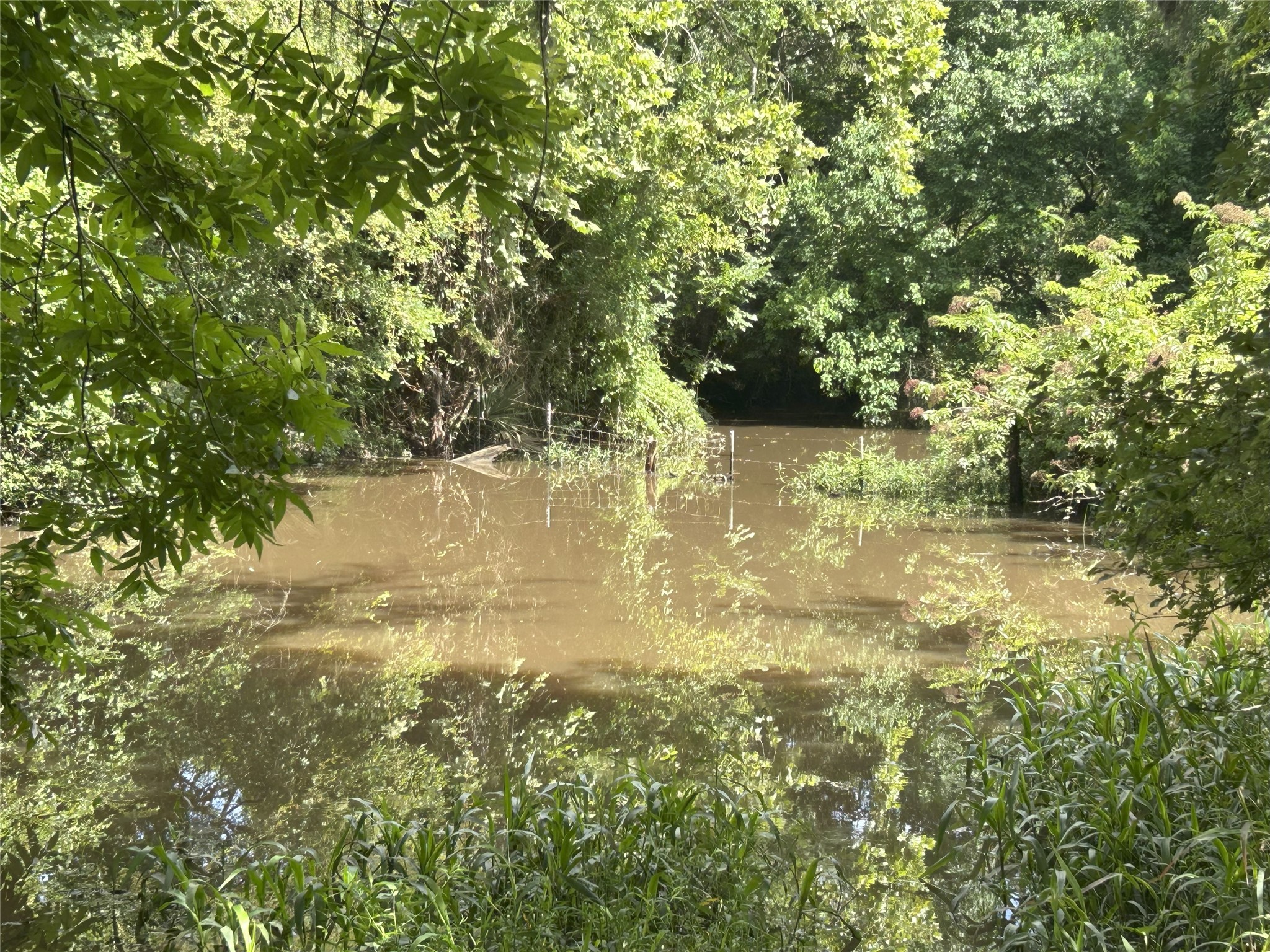 Tbd Holik Road Hempstead, TX 77445 - Photo 46 of 50