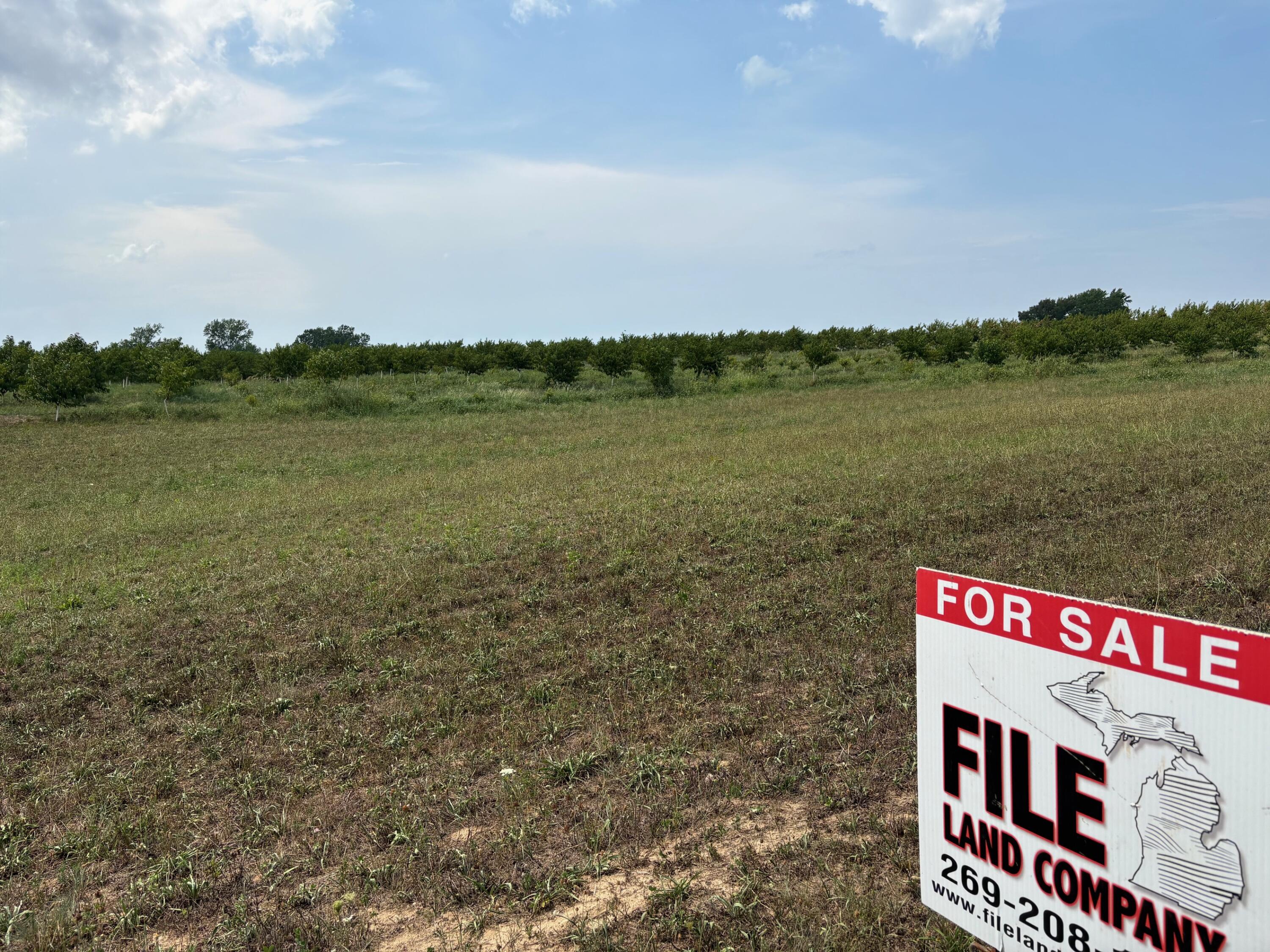 Vl South Arent Road Watervliet, MI 49098 - Photo 2 of 7 IMG_0688