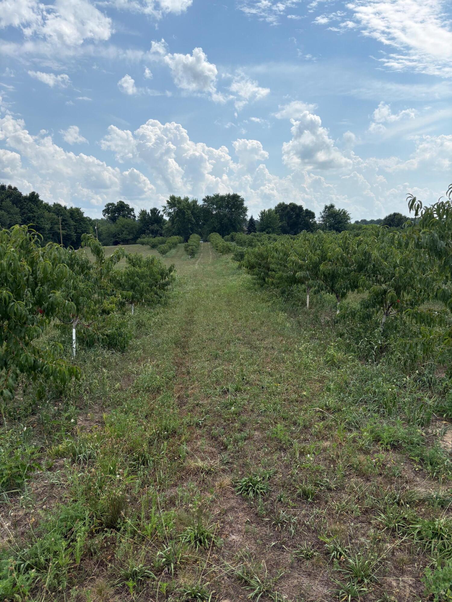 Vl South Arent Road Watervliet, MI 49098 - Photo 3 of 7 IMG_0690