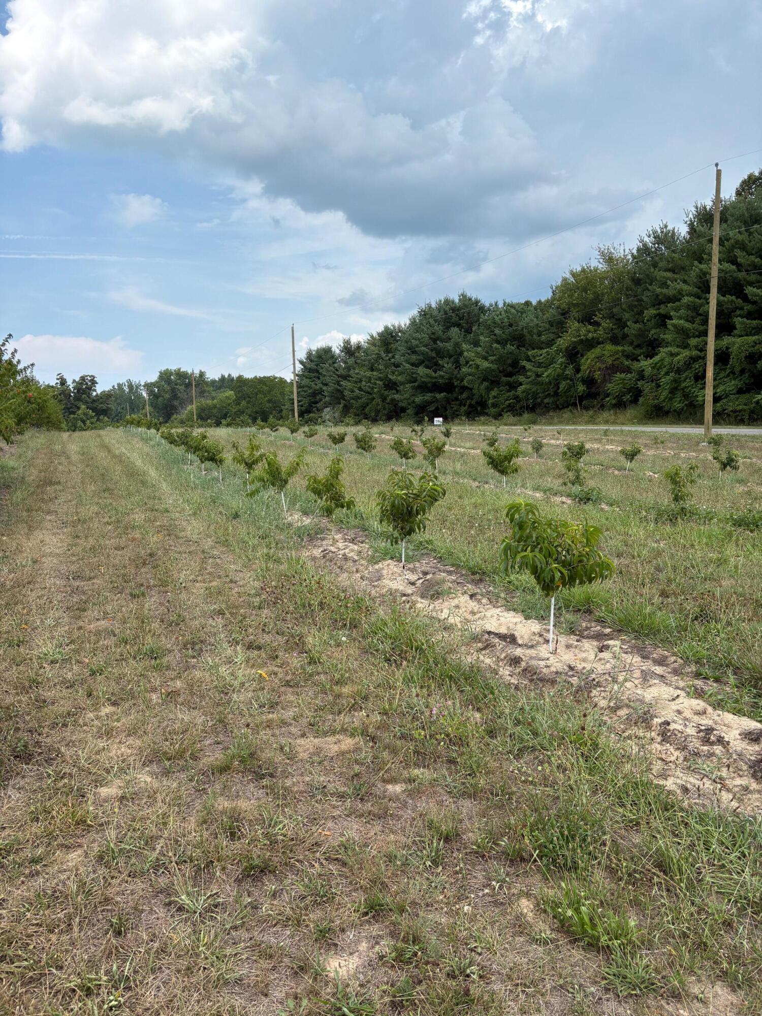 Vl South Arent Road Watervliet, MI 49098 - Photo 6 of 7 IMG_0693
