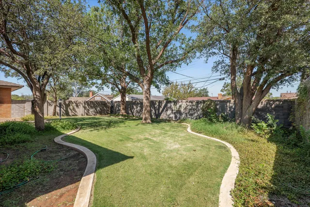 a view of a garden with large trees