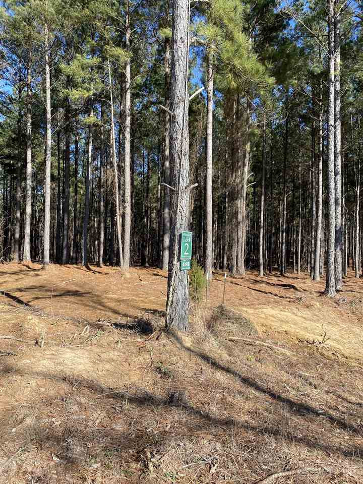651 Stull Road, Unit 2 Brandon, MS 39047 - Photo 1 of 3 Photo 1