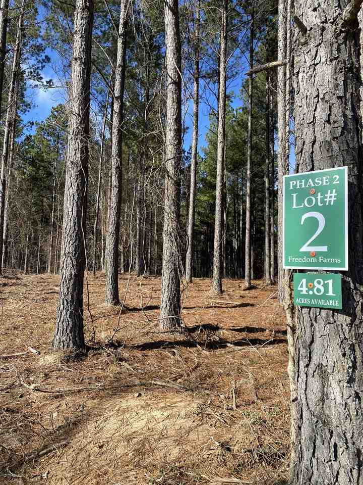 651 Stull Road, Unit 2 Brandon, MS 39047 - Photo 2 of 3 Photo 2