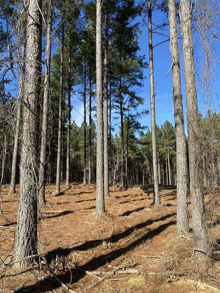 651 Stull Road, Unit 2 Brandon, MS 39047 - Photo 3 of 3 Photo 3