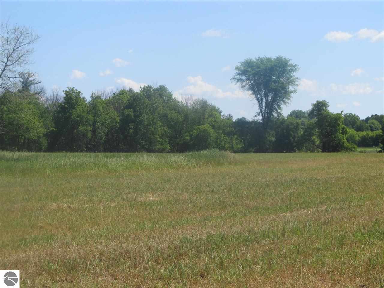 Tbd Tbd Curtis Road Mount Pleasant, MI 48858 - Photo 5 of 8 1786164-4.JPG