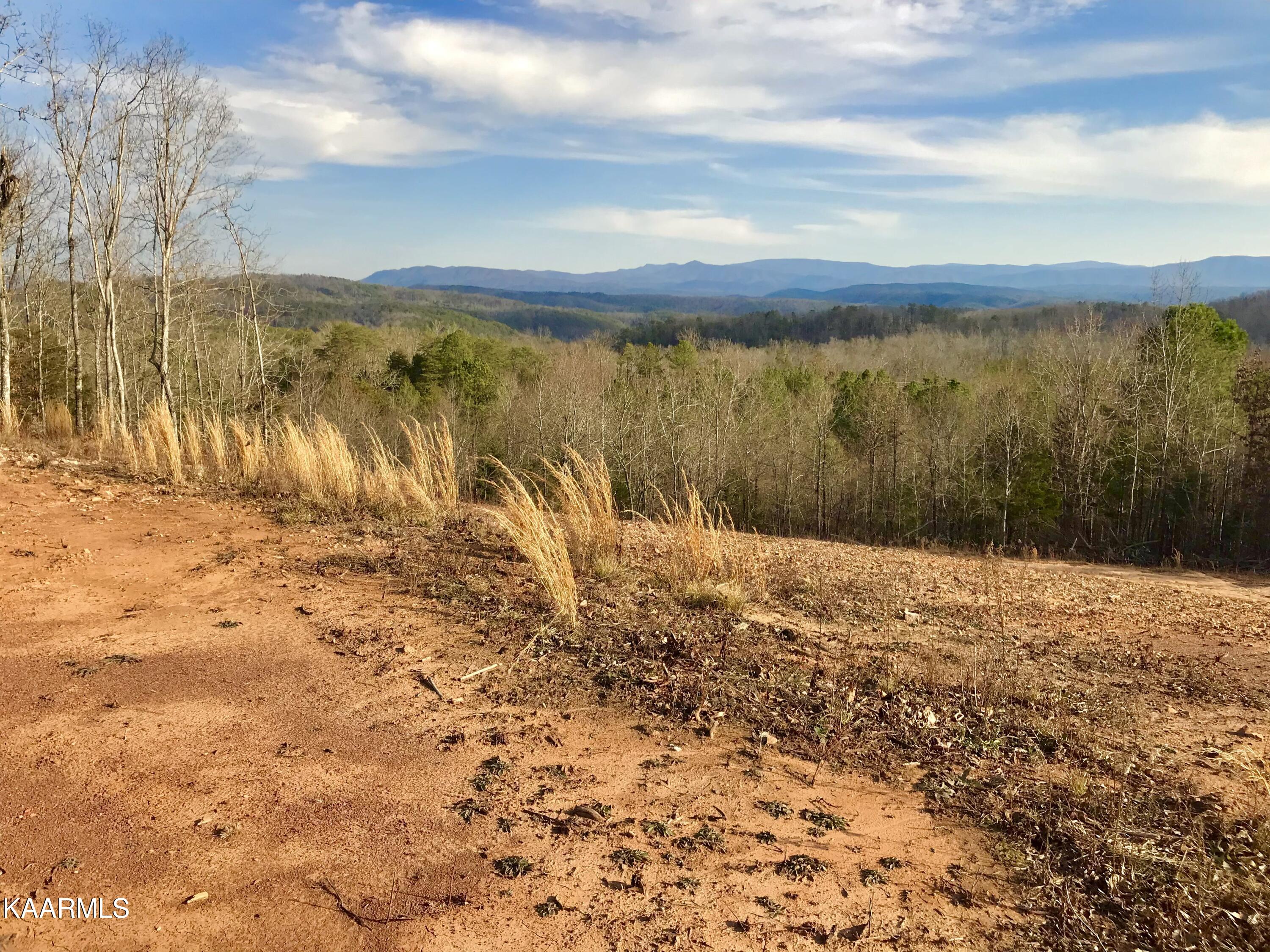285 Bill Moser Road Vonore, TN 37885 - Photo 1 of 13 IMG_3821