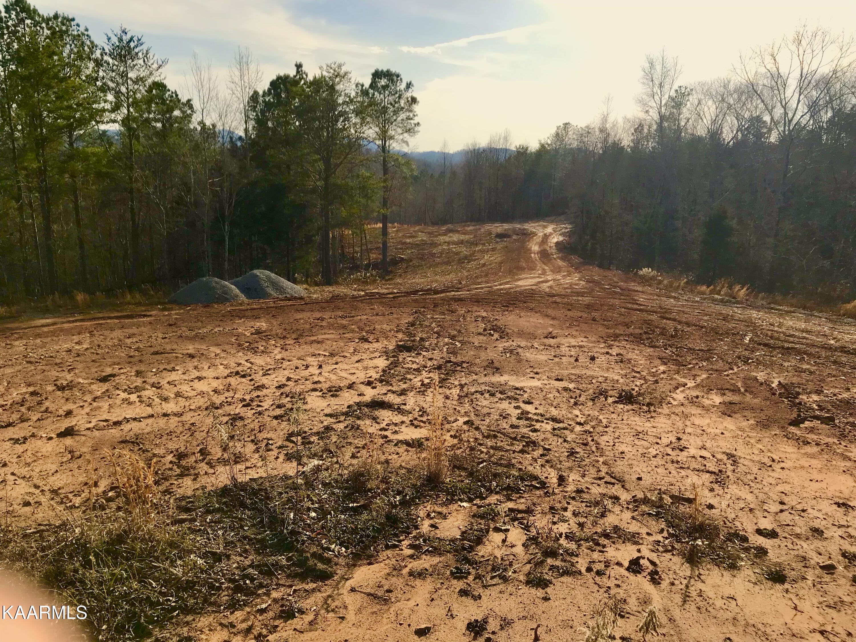 285 Bill Moser Road Vonore, TN 37885 - Photo 11 of 13 IMG_3823