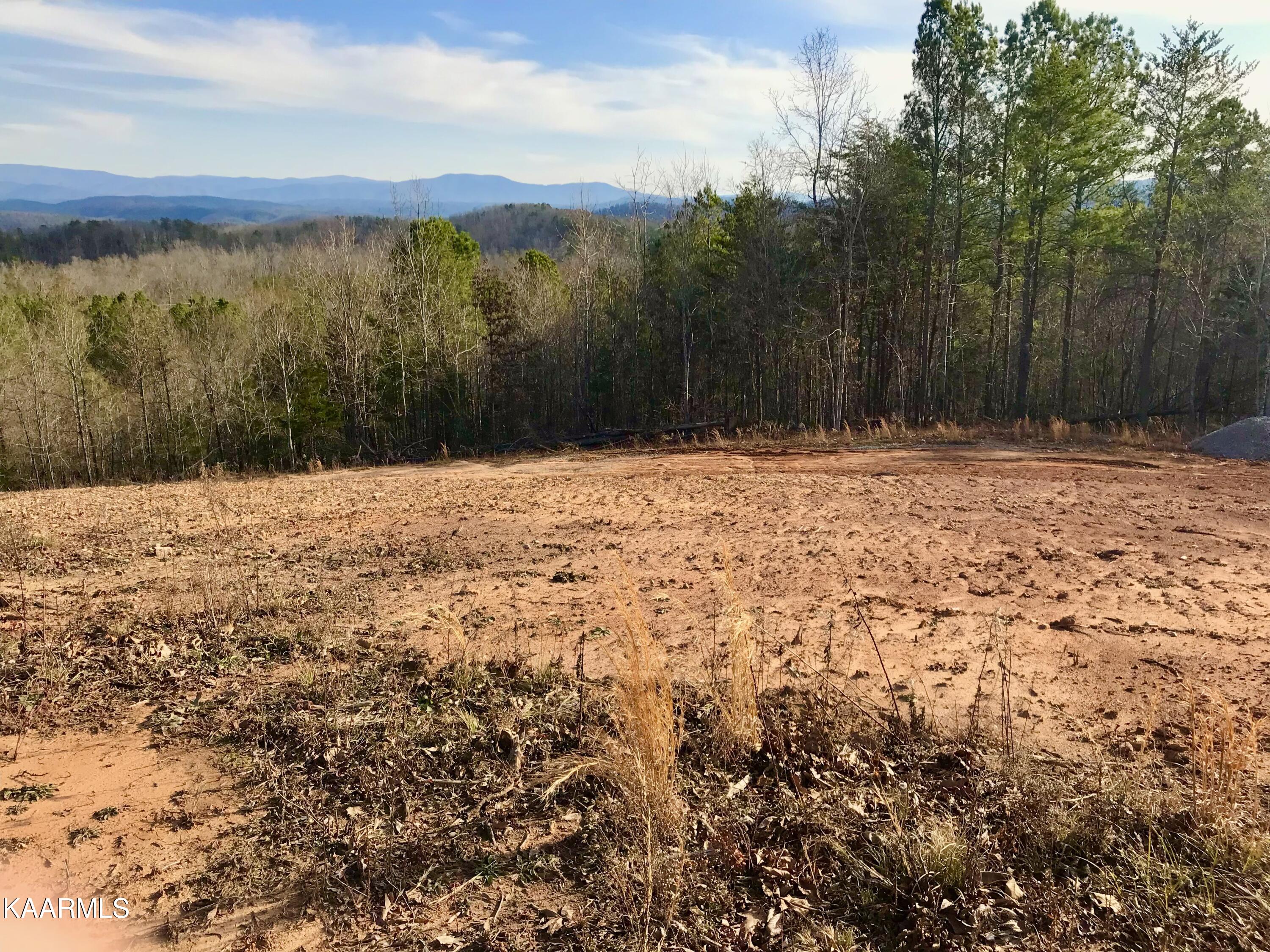 285 Bill Moser Road Vonore, TN 37885 - Photo 12 of 13 IMG_3822
