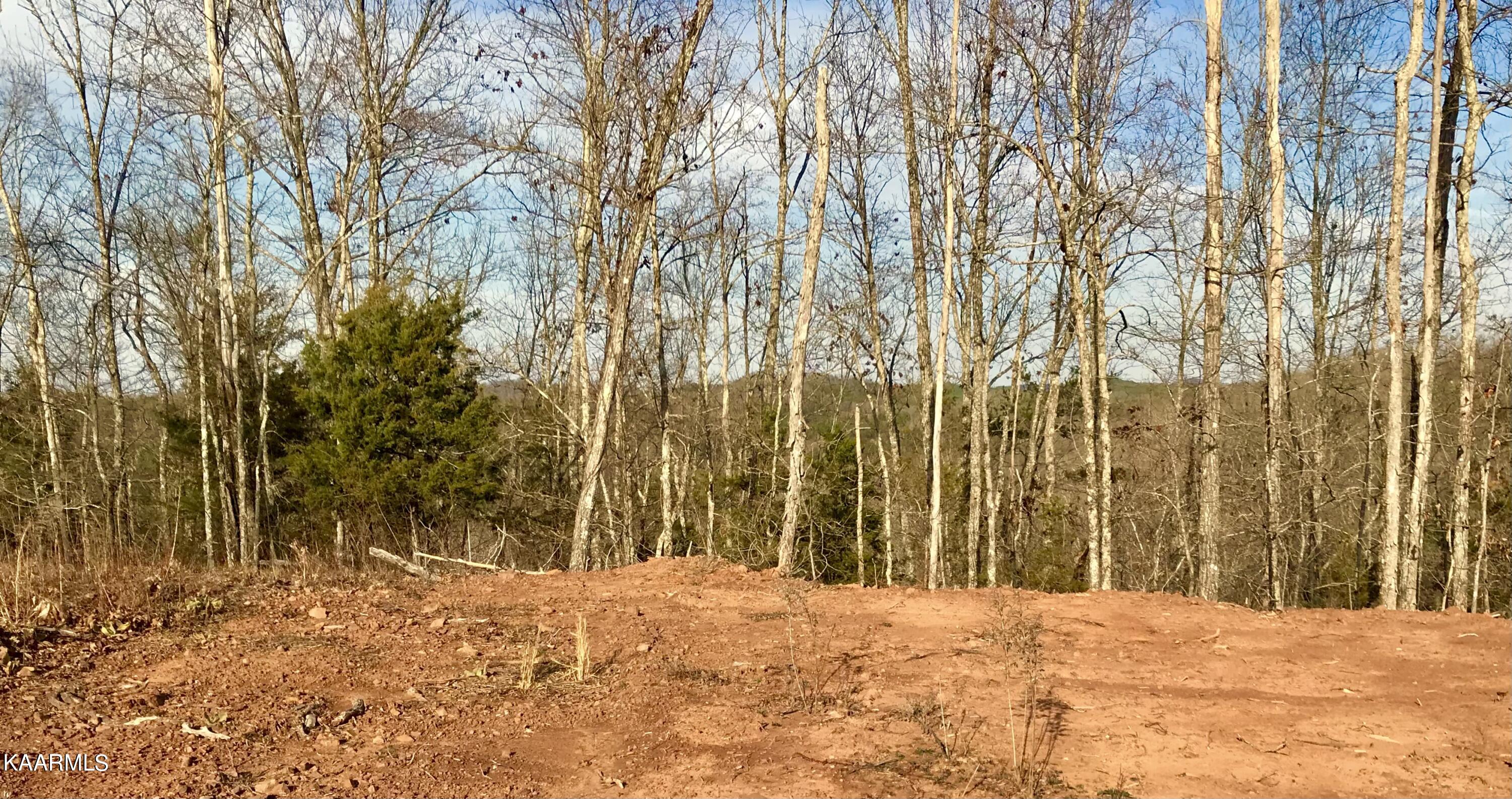 285 Bill Moser Road Vonore, TN 37885 - Photo 13 of 13 IMG_3825