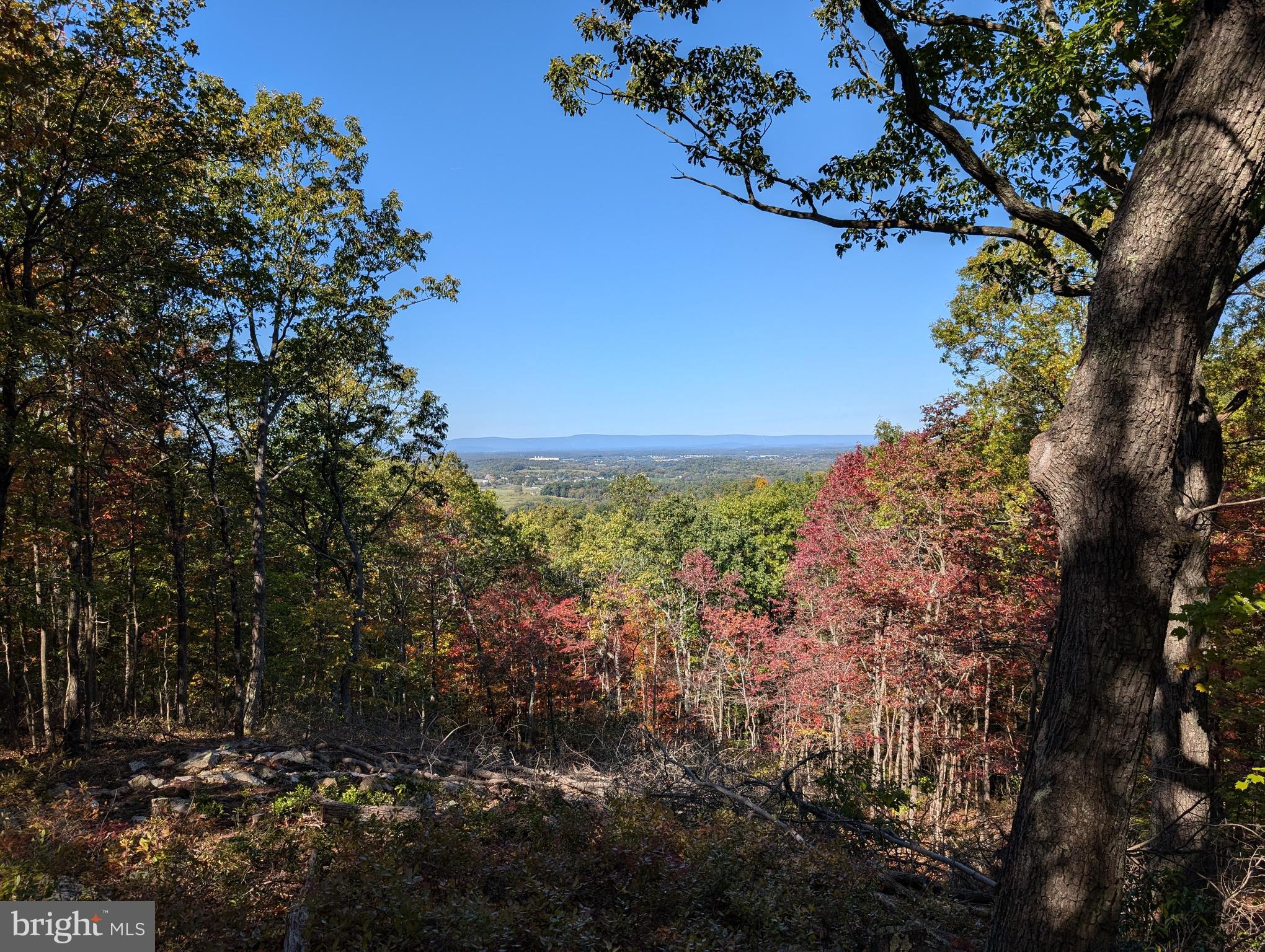 Lot 83 Baldwin Road Front Royal, VA 22630 - Photo 1 of 16 a view of a garden