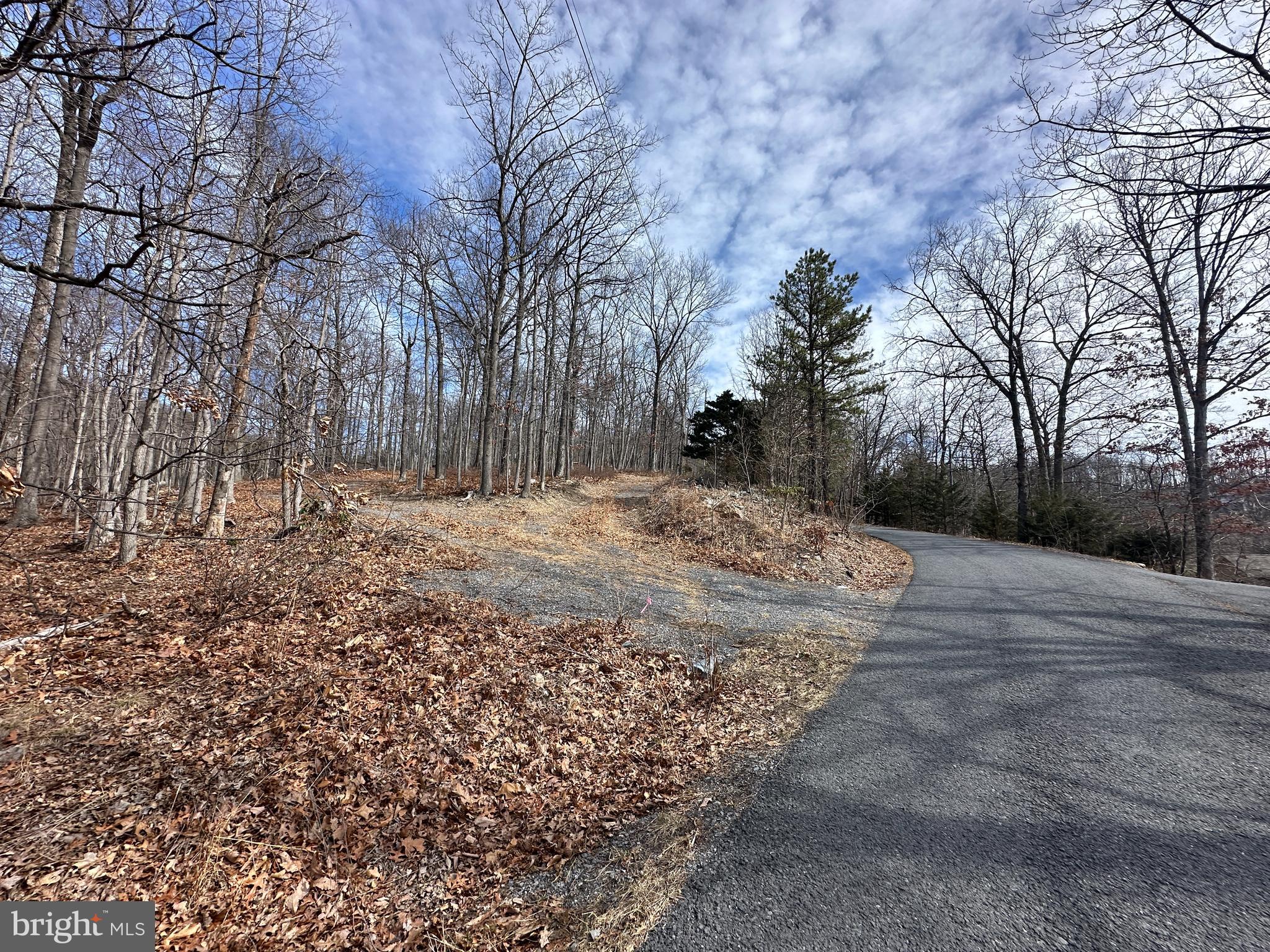 Lot 83 Baldwin Road Front Royal, VA 22630 - Photo 15 of 16 a view of dirt yard with trees