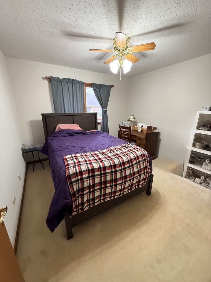 804 Deer Path Lane Elwood, IL 60421 - Photo 14 of 23
