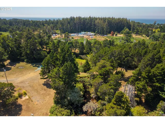 a view of a yard with plants
