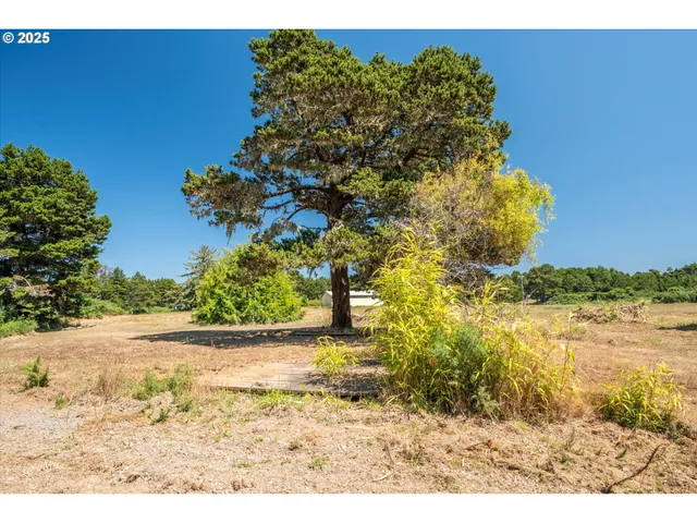 a view of a lush green field with trees in the background