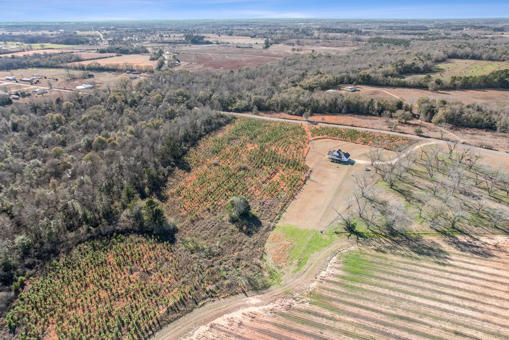 649 Edgar Smith Road Ashford, AL 36312 - Photo 64 of 68