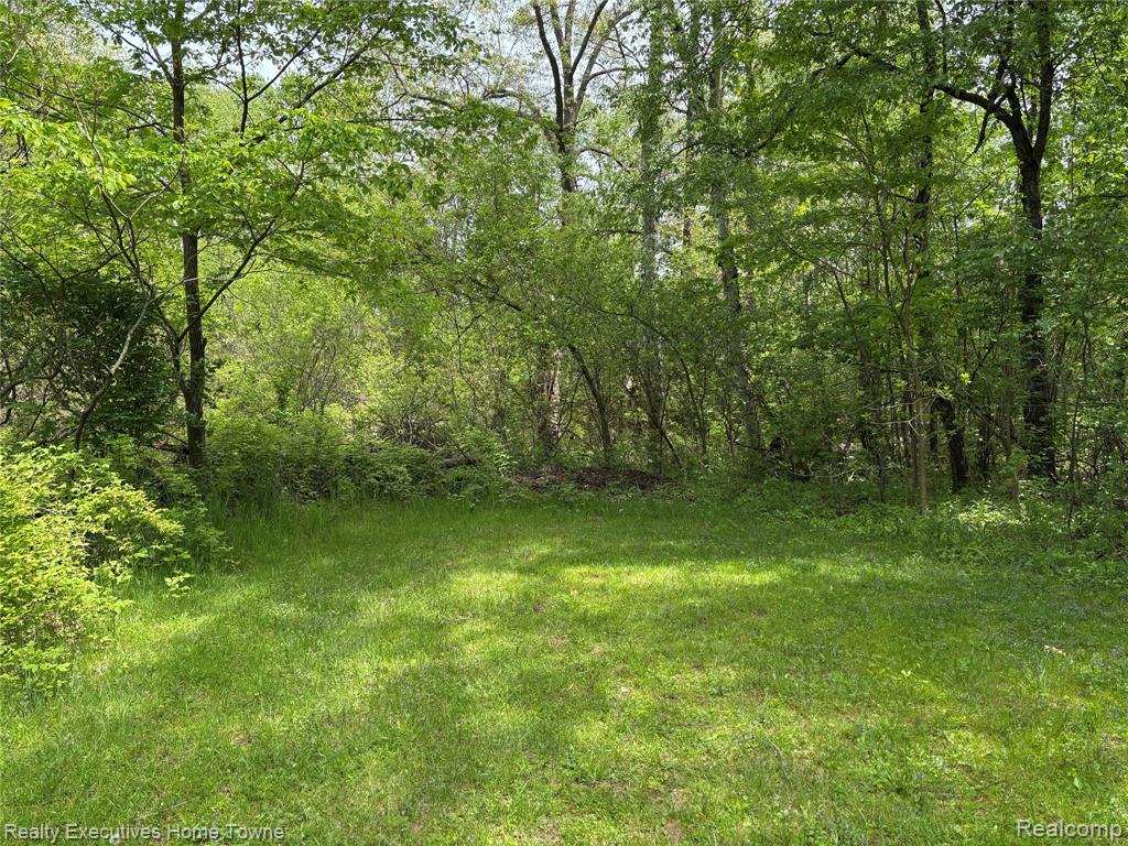 1782 Maple Road Smiths Creek, MI 48074 - Photo 10 of 30