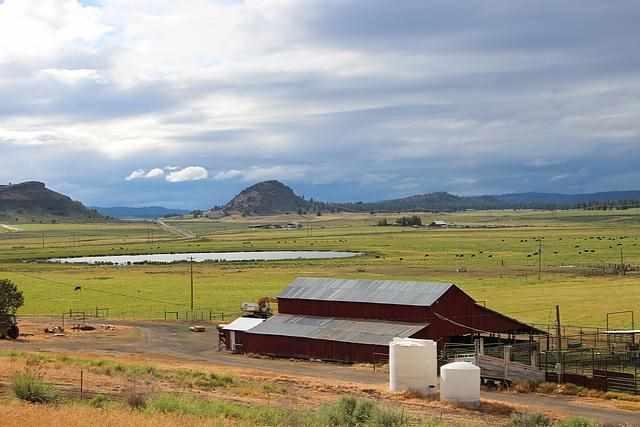 22779 Sprague River Road Chiloquin, OR 97624 - Photo 20 of 23 Additional Photo