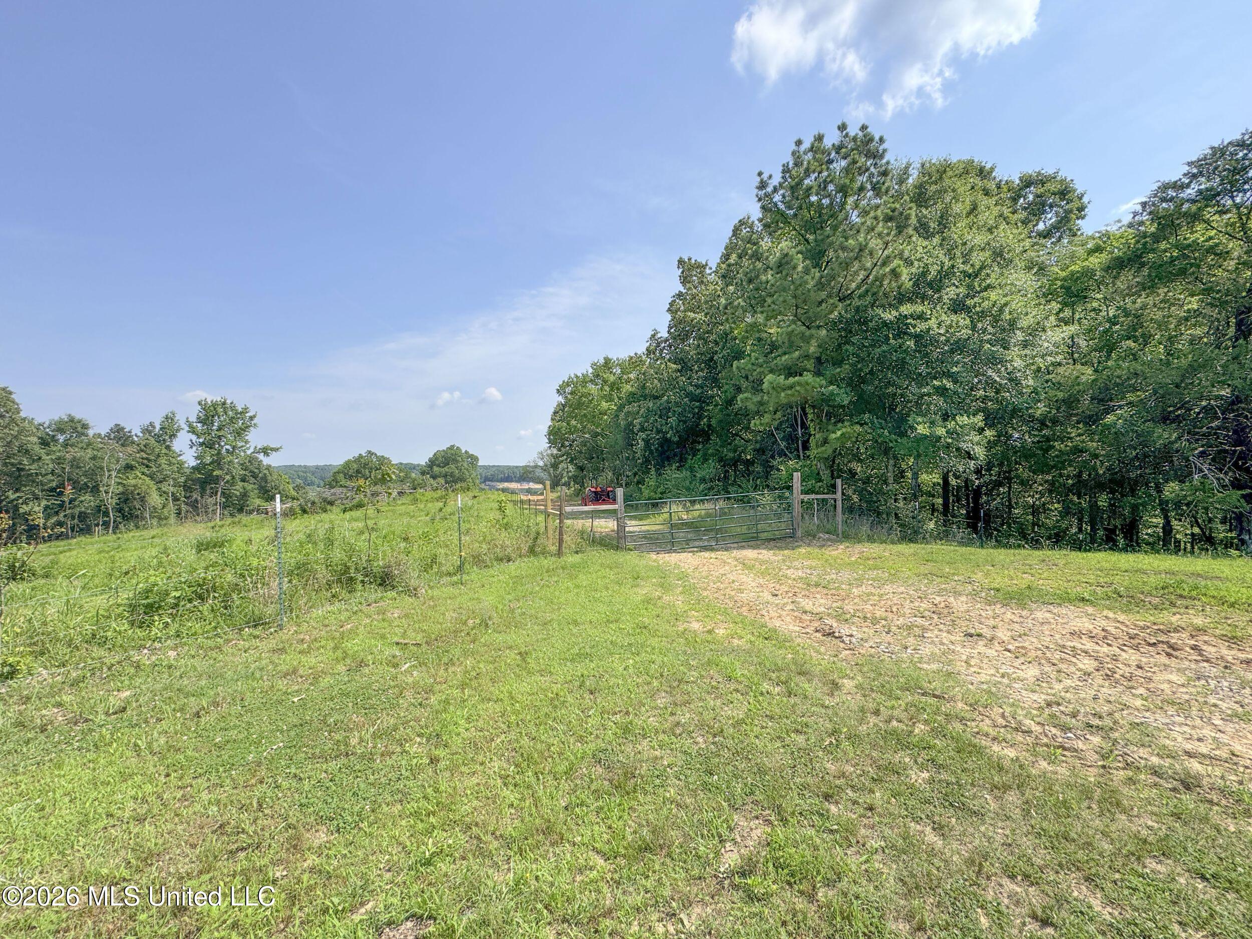 2169 Slocum Road Hernando, MS 38632 - Photo 86 of 94 8slcm49
