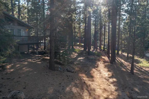 a view of outdoor space with lots of trees