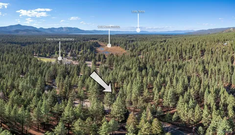 a view of a lush green forest with a mountain