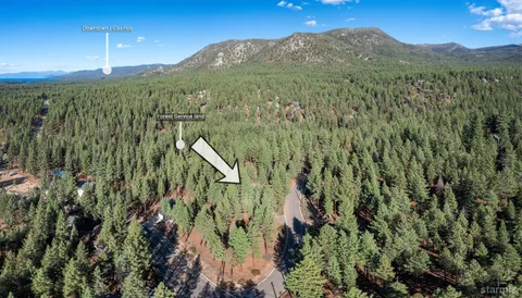 a view of a garden with a mountain