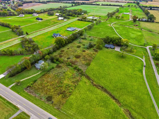 a view of a yard with an umbrella