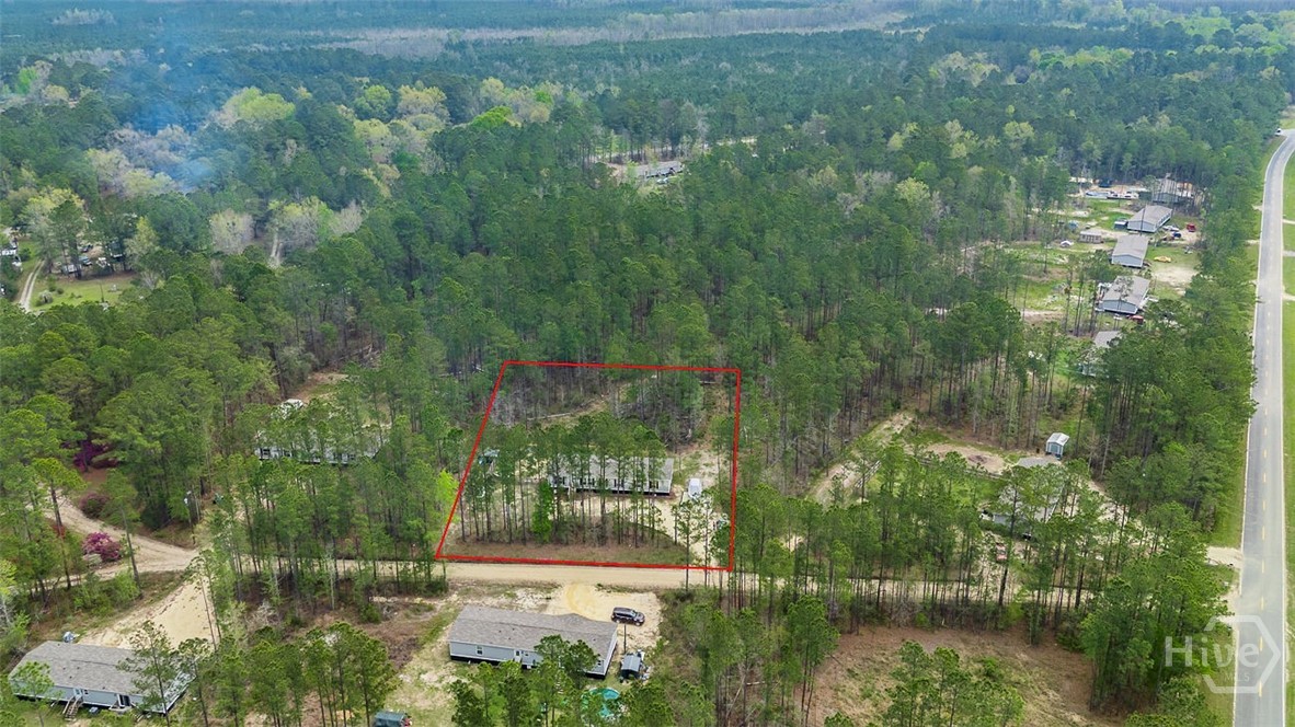 69 Babe Landon Lane Fleming, GA 31309 - Photo 40 of 48 Overhead View