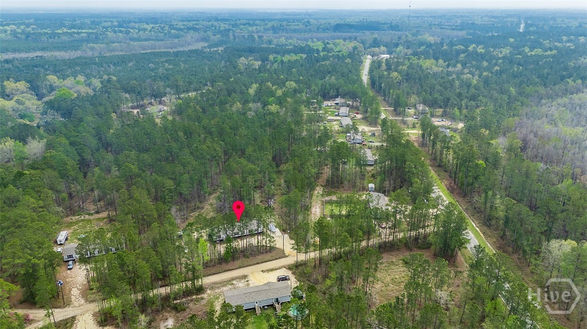 69 Babe Landon Lane Fleming, GA 31309 - Photo 41 of 48 Overhead View