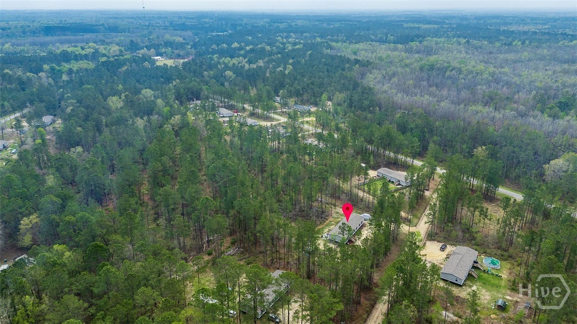 69 Babe Landon Lane Fleming, GA 31309 - Photo 42 of 48 Overhead View