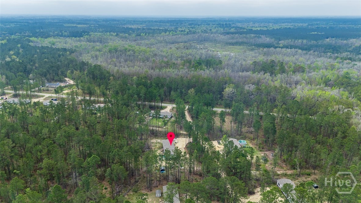 69 Babe Landon Lane Fleming, GA 31309 - Photo 43 of 48 Overhead View