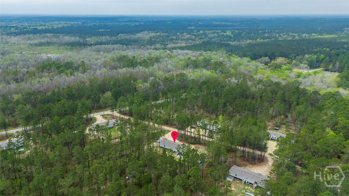 69 Babe Landon Lane Fleming, GA 31309 - Photo 44 of 48 Overhead View