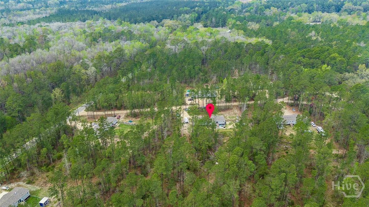 69 Babe Landon Lane Fleming, GA 31309 - Photo 45 of 48 Overhead View