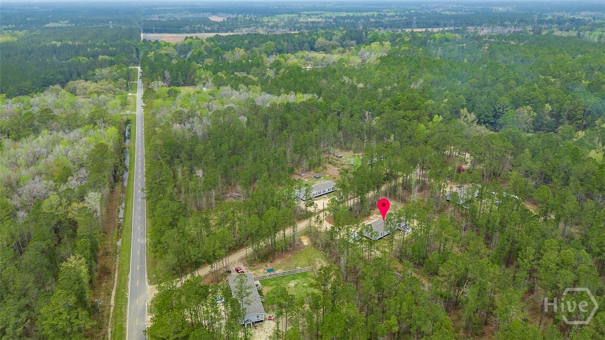 69 Babe Landon Lane Fleming, GA 31309 - Photo 46 of 48 Overhead View
