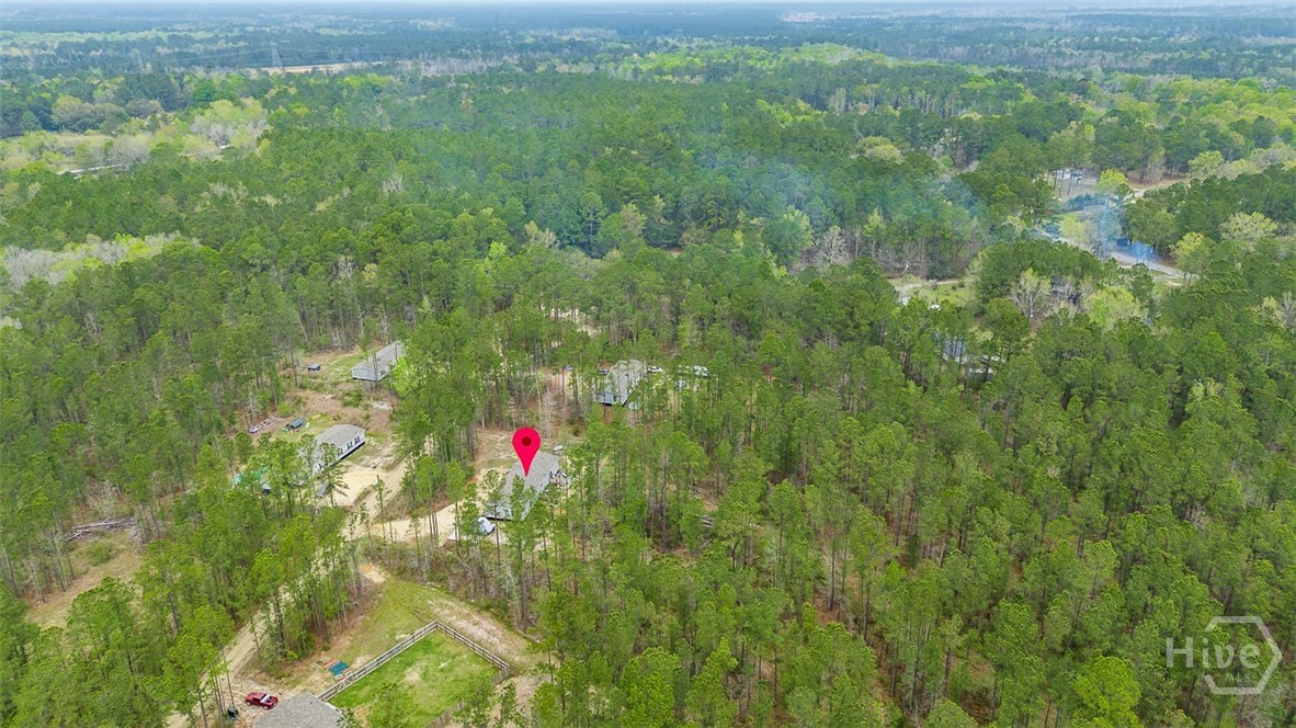 69 Babe Landon Lane Fleming, GA 31309 - Photo 47 of 48 Overhead View