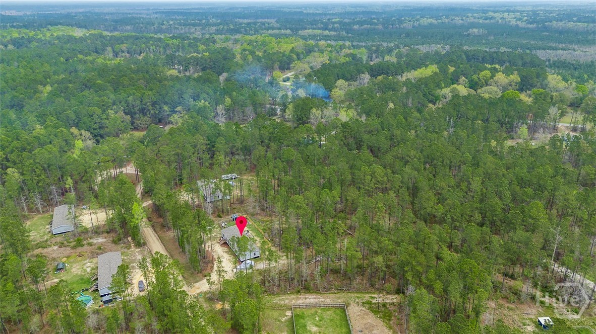 69 Babe Landon Lane Fleming, GA 31309 - Photo 48 of 48 Overhead View