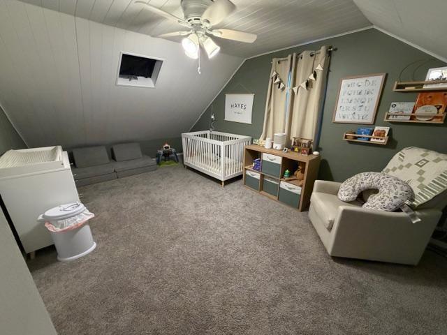 420 3rd Avenue Northwest Spring Grove, MN 55974 - Photo 13 of 15