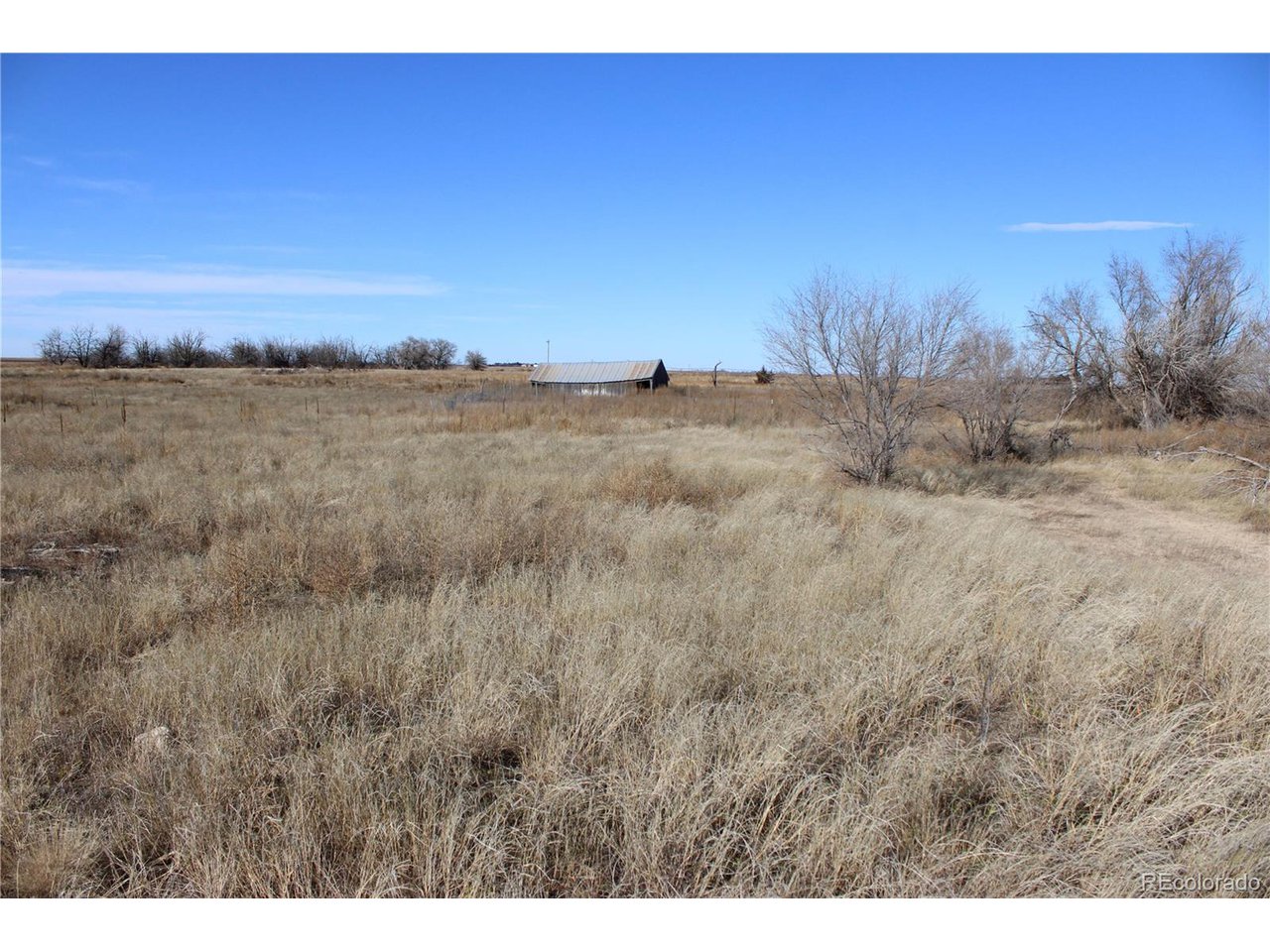 1901 County Rd H Joes, CO 80822 - Photo 24 of 42 a view of a field and tall trees