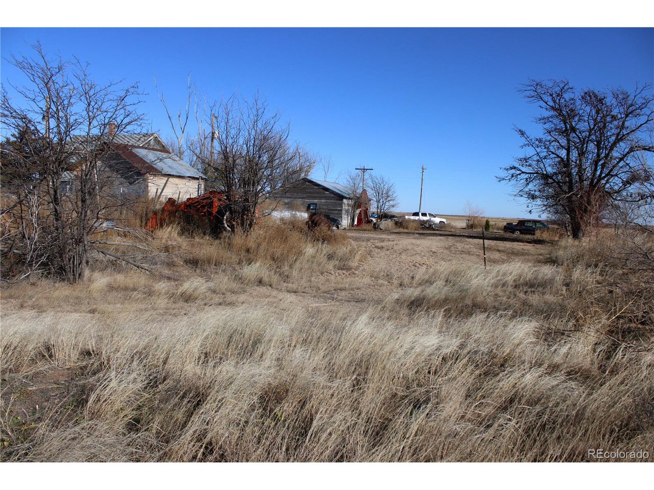 1901 County Rd H Joes, CO 80822 - Photo 27 of 42 a view of a dry yard with trees