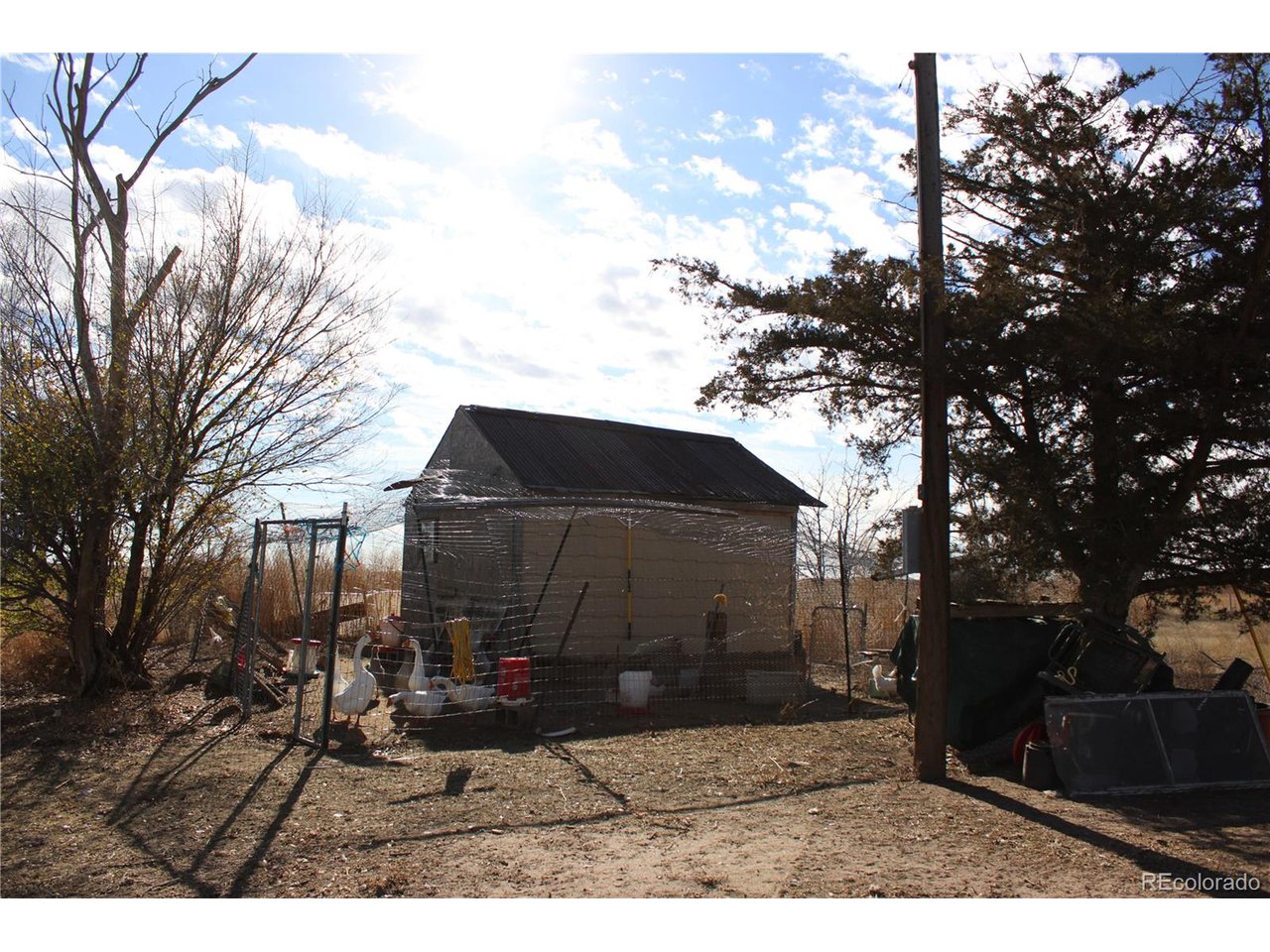 1901 County Rd H Joes, CO 80822 - Photo 9 of 42 a black and white building with trees in front of it