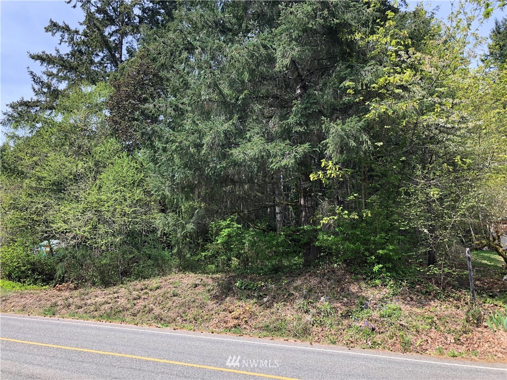 6400 Northeast North Shore Road Belfair, WA 98528 - Photo 1 of 2 Gallery Image 1