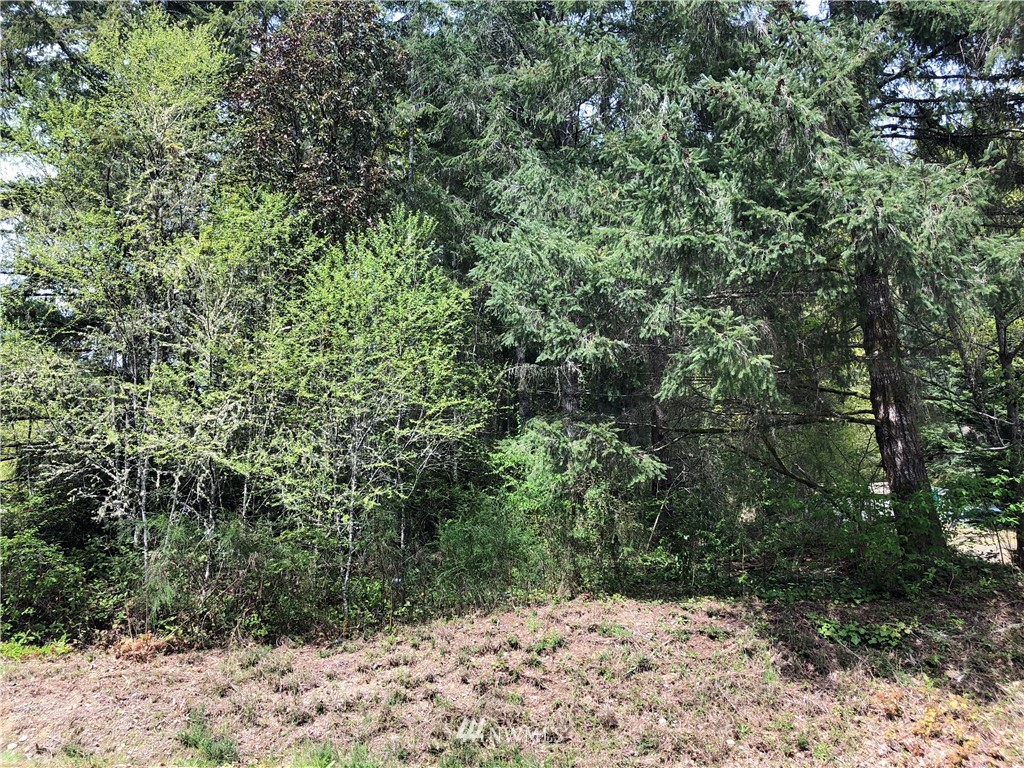 6400 Northeast North Shore Road Belfair, WA 98528 - Photo 2 of 2 Gallery Image 2