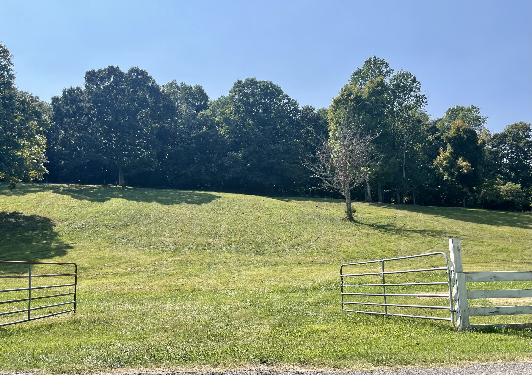 1526 Columbia Road Dickson, TN 37055 - Photo 1 of 7 Gallery Image 1