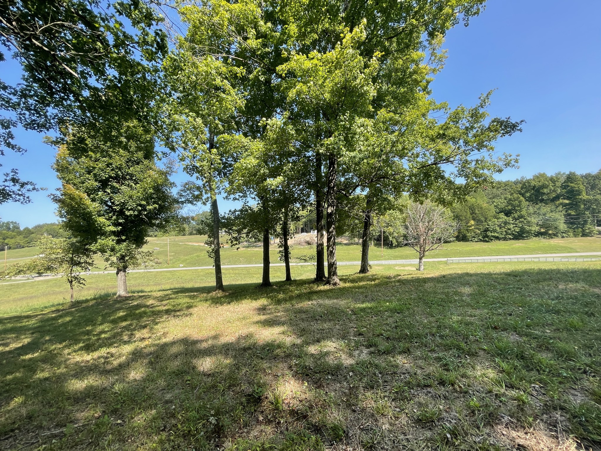 1526 Columbia Road Dickson, TN 37055 - Photo 4 of 7 Gallery Image 4
