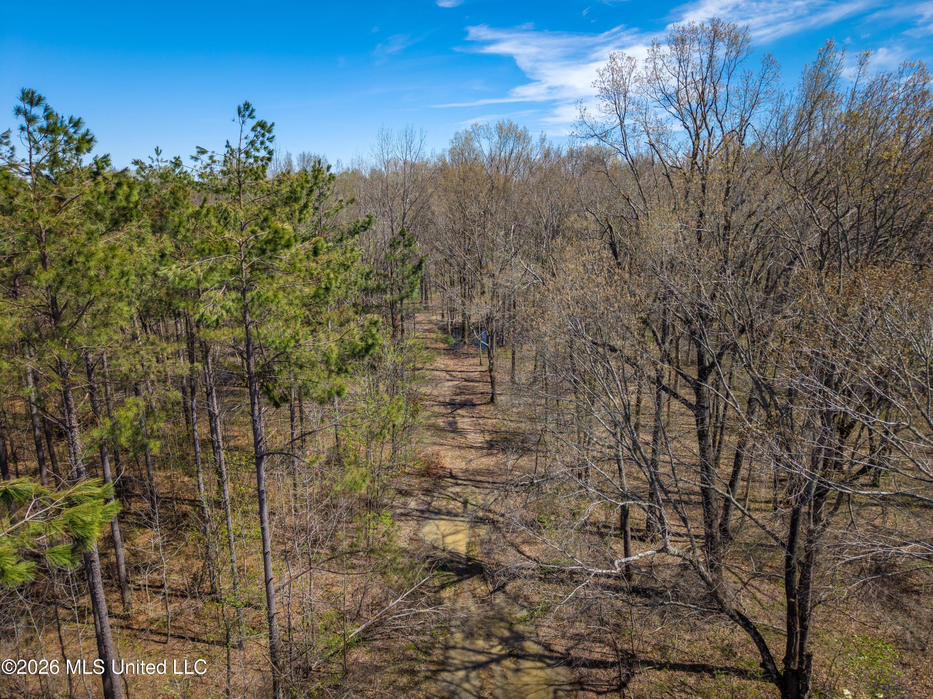 Wise Bend Road Thaxton, MS 38871 - Photo 6 of 22 6