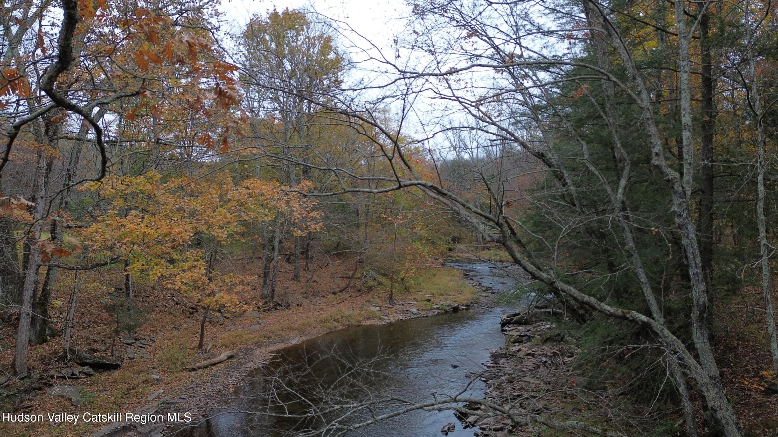 537 Mossy Hill Road Catskill, NY 12414 - Photo 6 of 38 DJI_0533