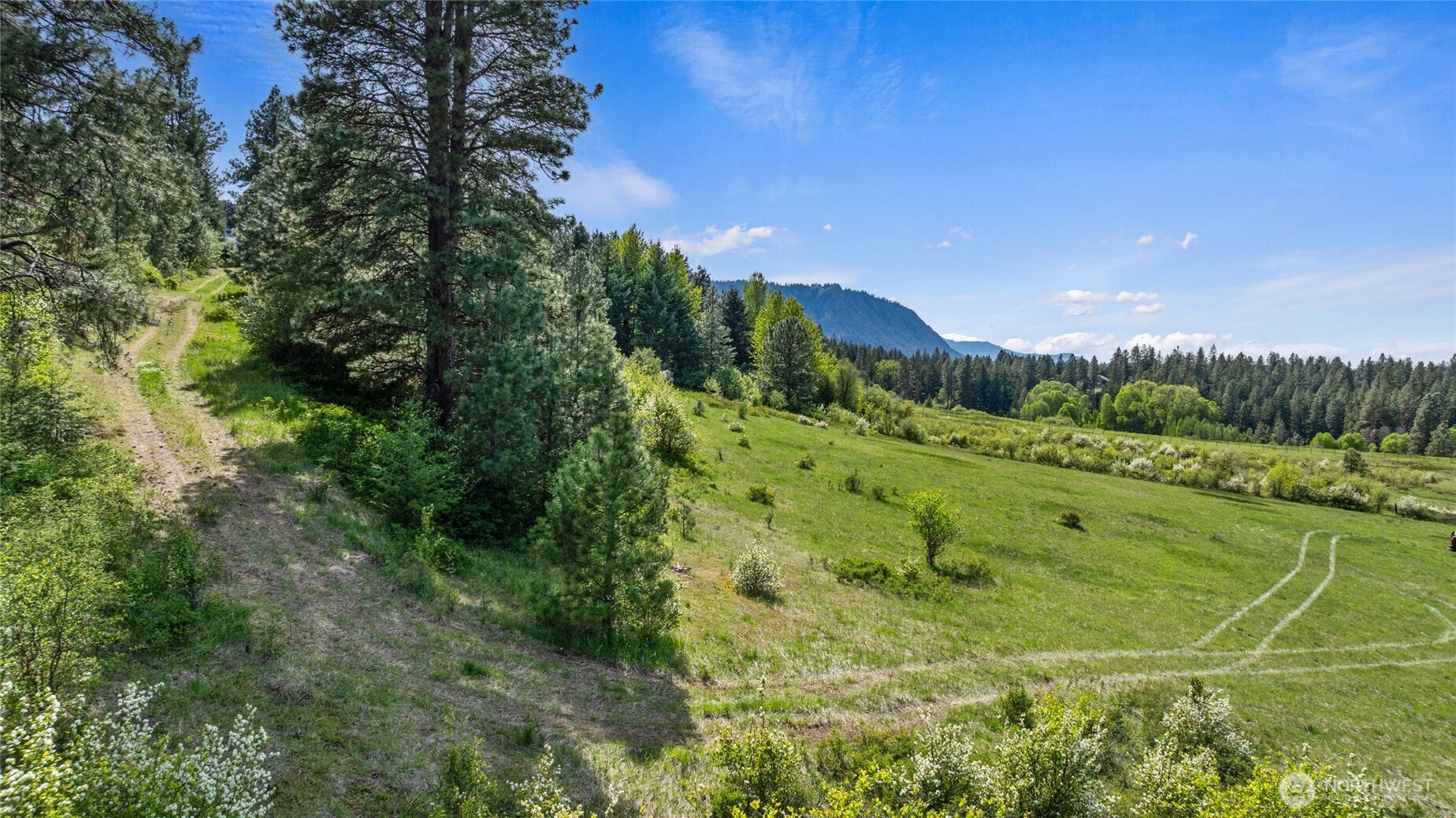 66-x1 Upper Peoh Point Road Cle Elum, WA 98922 - Photo 13 of 32 a view of a green field with lots of bushes